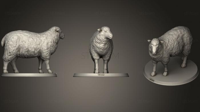3D model Sheep (STL)